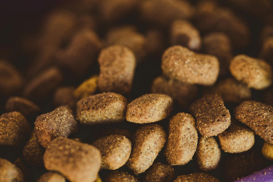 ¿Cómo leer etiquetas de comida para perros?