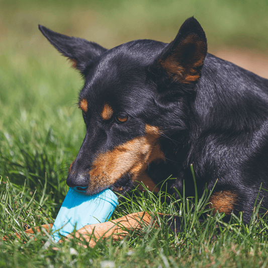 BEEZTEES Helado de Silicona para Rellenar y Congelar para perros