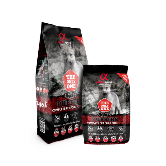 ALPHA SPIRIT The Only One Puppies para perros