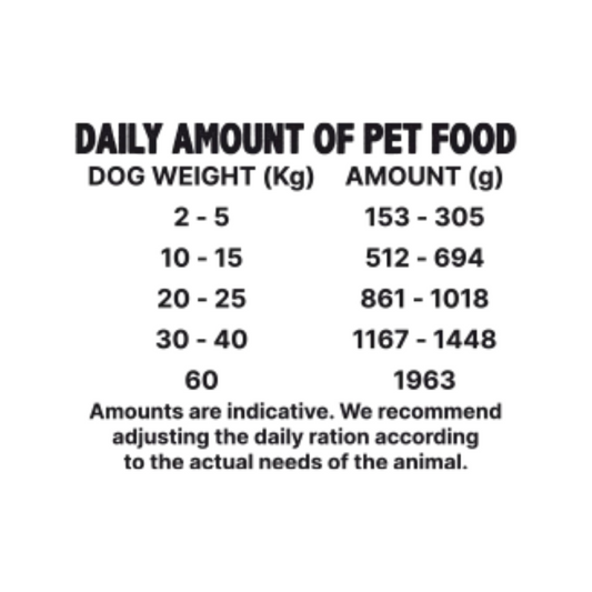 ALPHA SPIRIT Salmón con Piña 400 g para perros