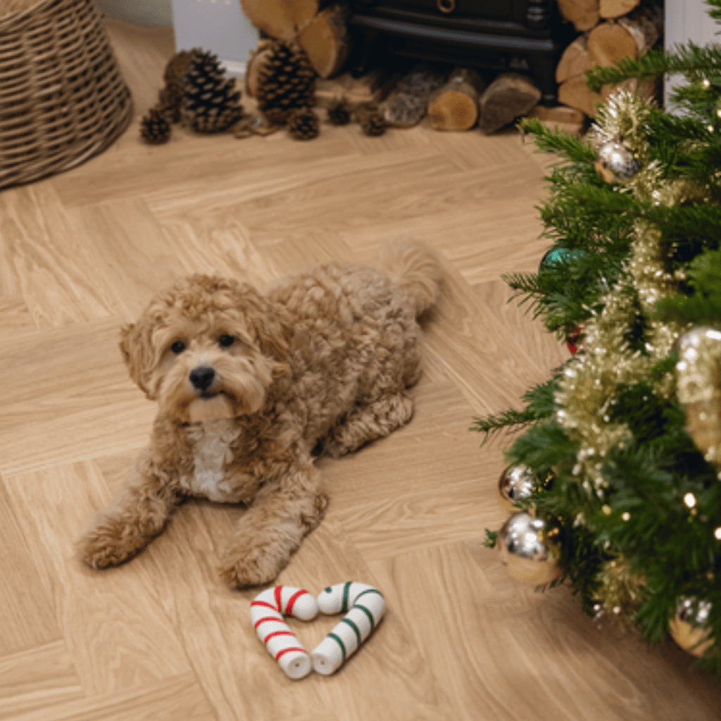 BEEZTEES Bastón de Caramelo Navidad Látex Verde