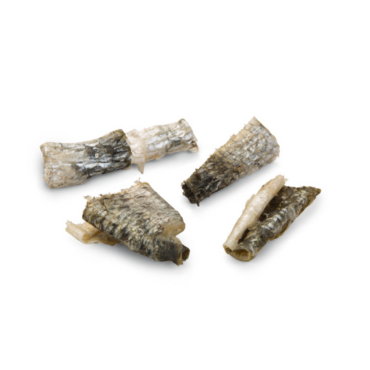 BEEZTEES Bocados Piel de Salmón 75 g para perros