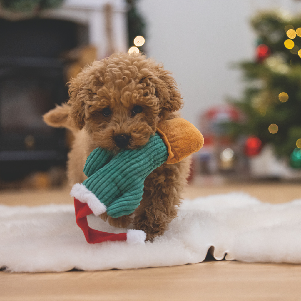 BEEZTEES Peluche Cactus Navidad