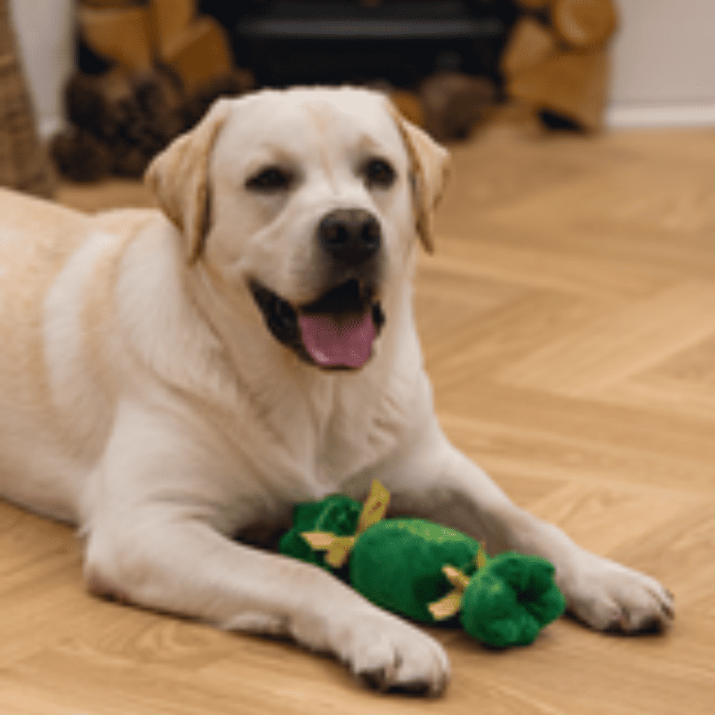 BEEZTEES Juguete Caramelo Navideño