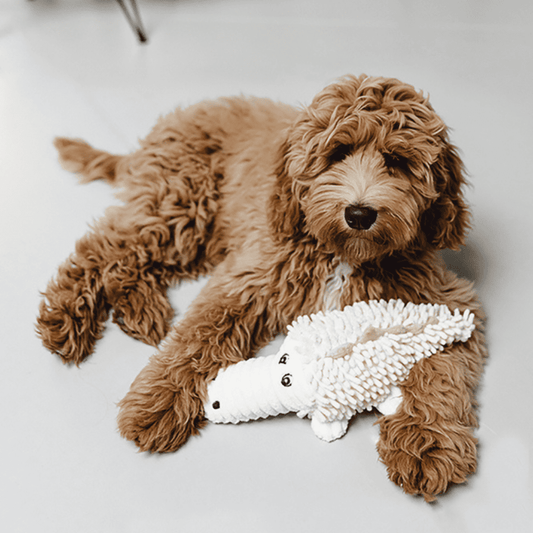 BEEZTEES Cocodrilo Jort Peluche Ecológico para perros