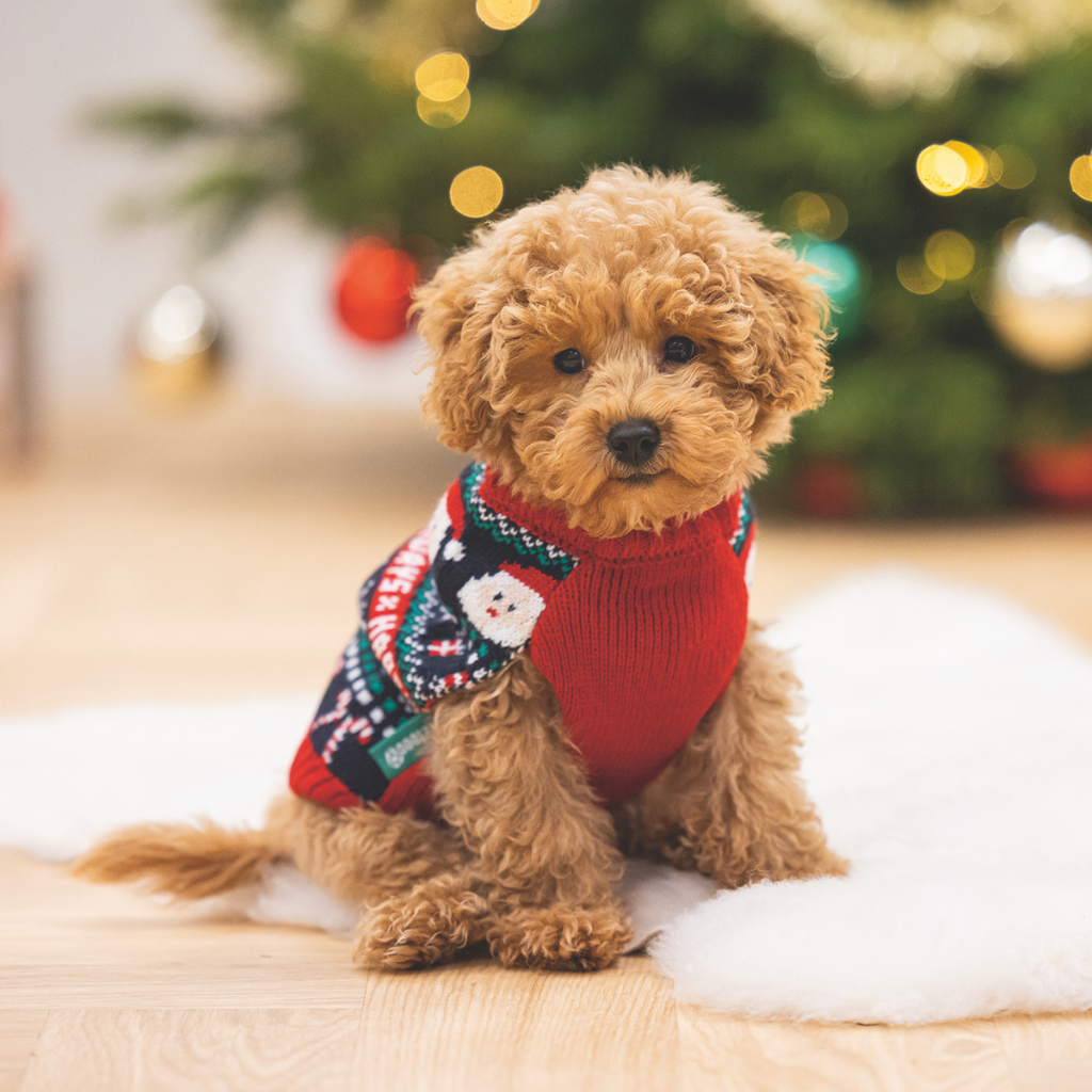 BEEZTEES Jersey Navideño Happy Xmas