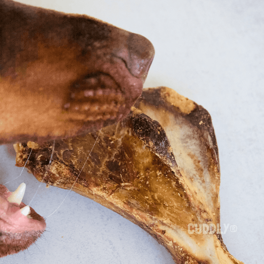 BEEZTEES Hueso Paleta Cerdo 100 g para perros