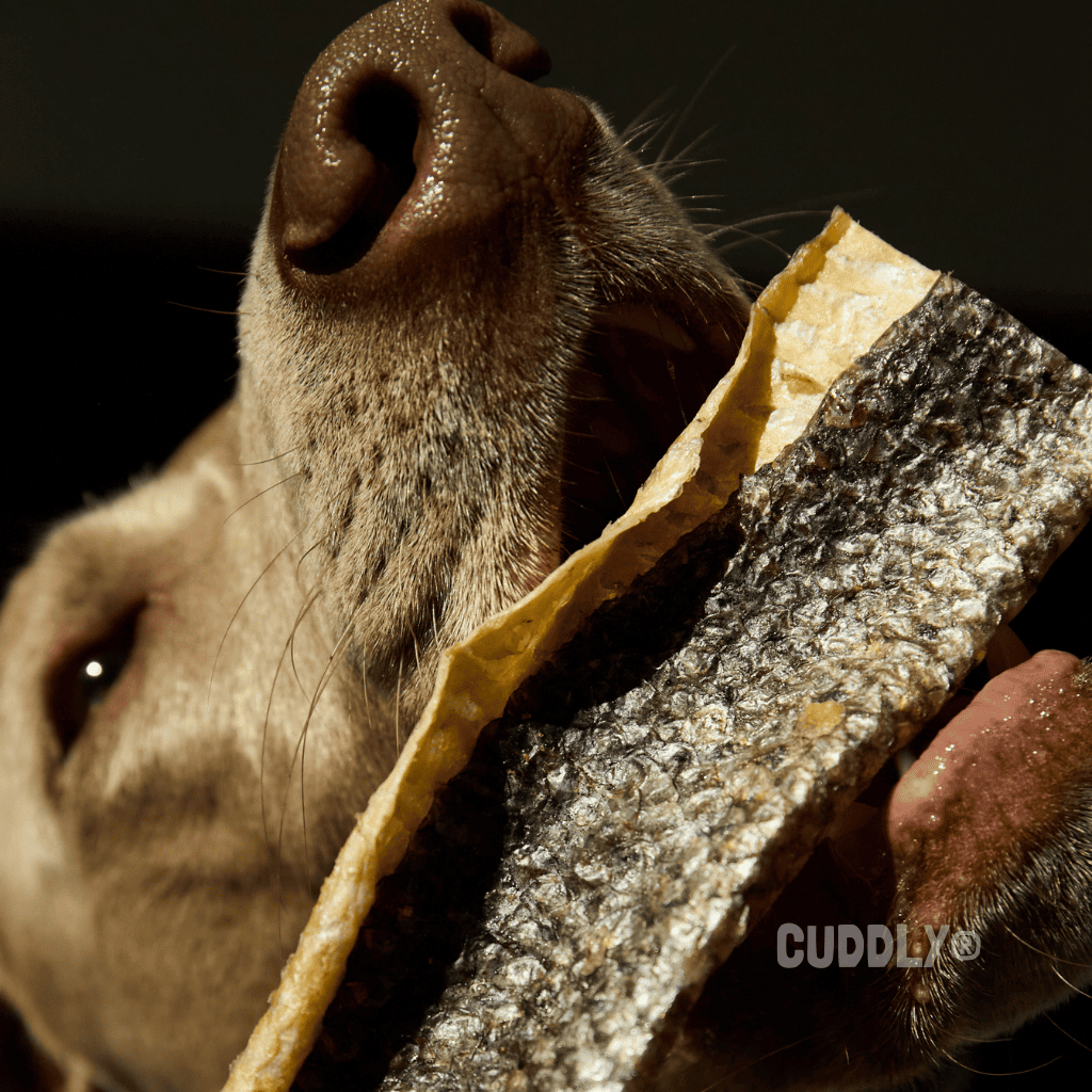 BEEZTEES Piel de Bacalao XL 150 g para perros