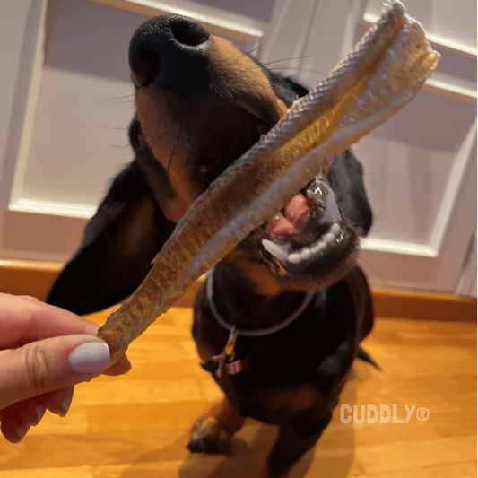 BEEZTEES Piel de Bacalao XL 150 g para perros