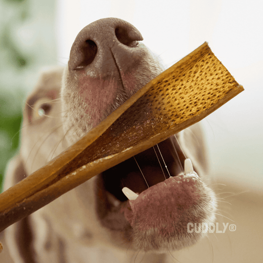 BEEZTEES Tiras Piel de Jabalí 200 g para perros