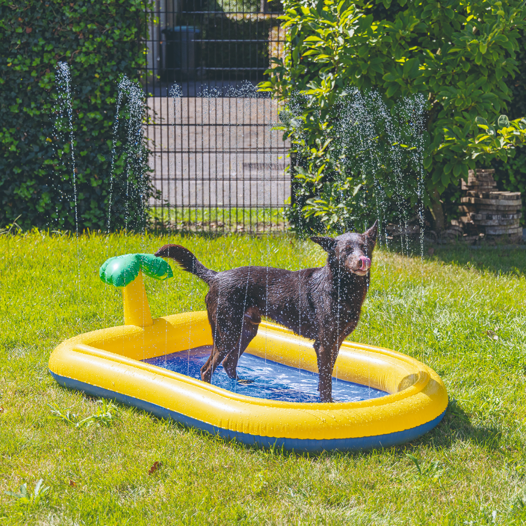 BEEZTEES Piscina con Aspersores para Perros