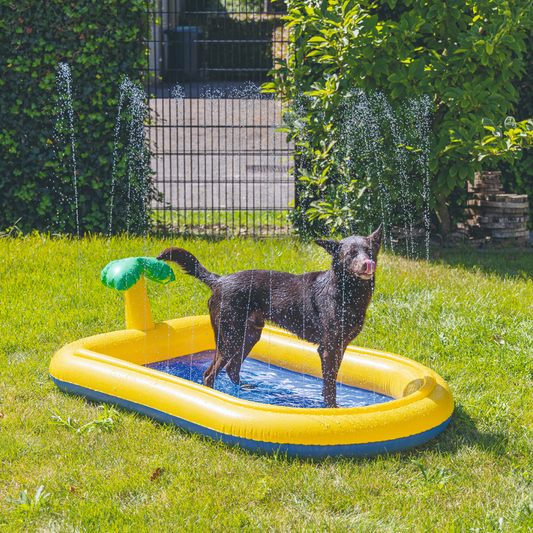 BEEZTEES Piscina con Aspersores para Perros para perros
