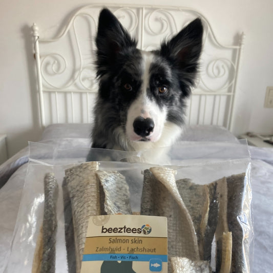 BEEZTEES Piel de Salmón 50 g para perros