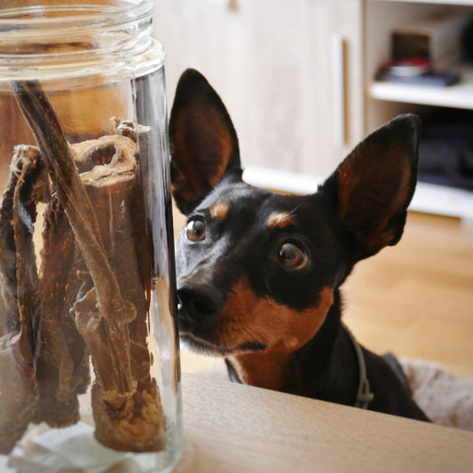 BEEZTEES Tripa Búfalo 200 g / 500 g para perros