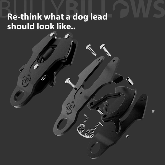 BULLYBILLOWS Correa Giratoria Combat Lead 1.4m - Beige