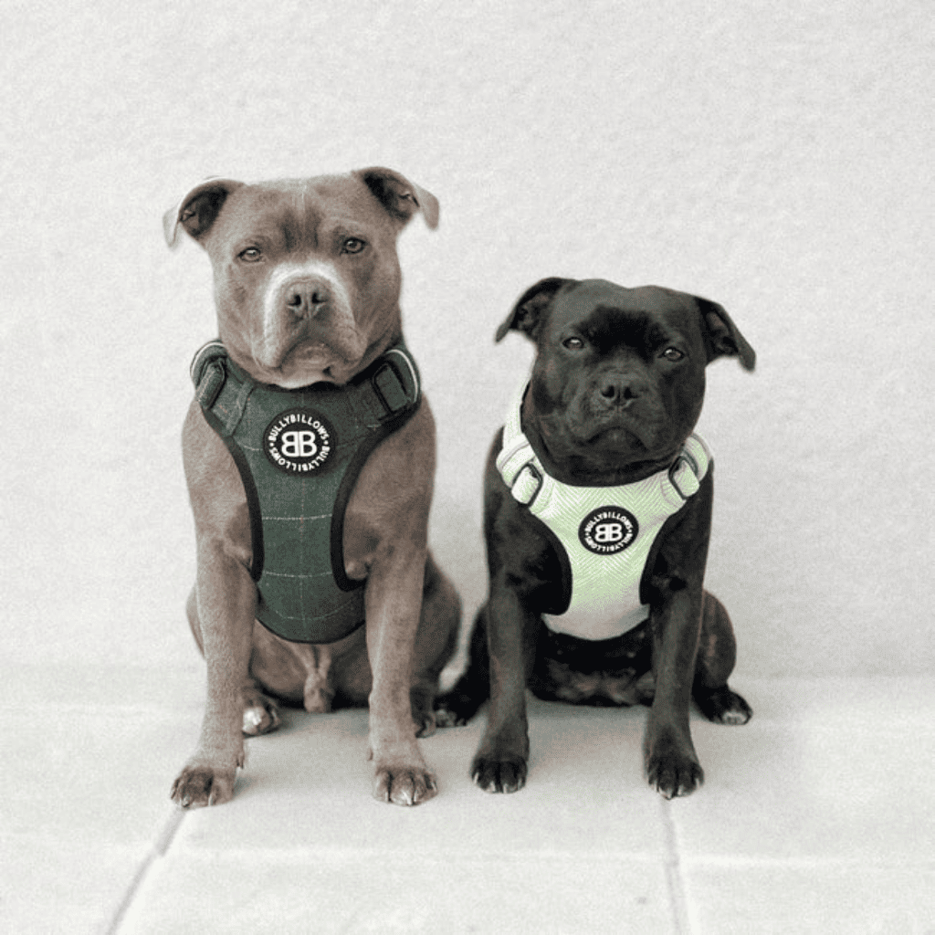 BULLYBILLOWS Arnés Premium Comfort - No Restrictivo y Ajustable Rosa