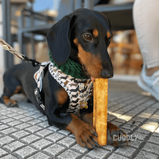 CHEWLLAGEN Colágeno Ternera M Roll 12.5 cm 2 uds para perros