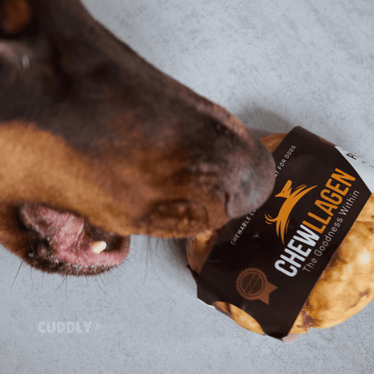 CHEWLLAGEN Colágeno Donut Ternera 10 cm para perros