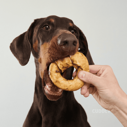 CHEWLLAGEN Colágeno Donut Pollo 10 cm para perros