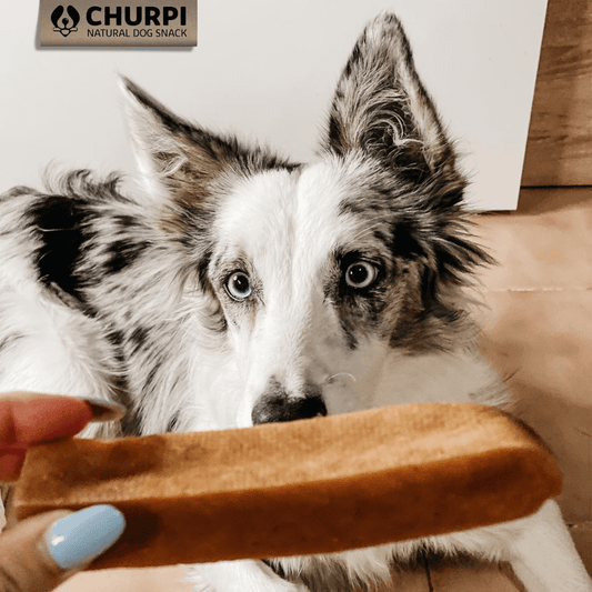 CHURPI Barrita Natural Coco 70 g / 130 g para perro