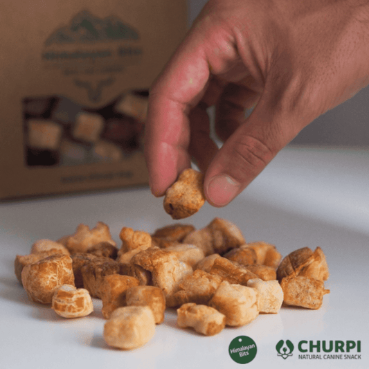 CHURPI Bits Cúrcuma 70 g para perro