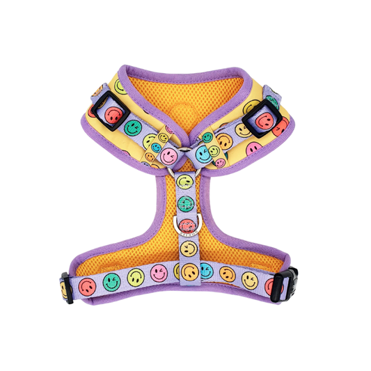 DUKIER Arnés Ajustable Smiley para perros