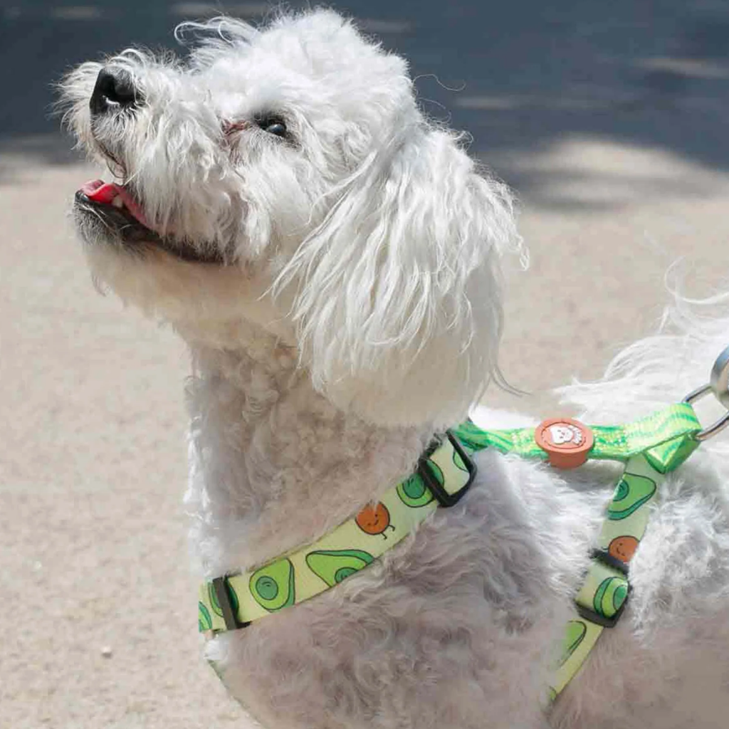 DUKIER Arnés Clásico Avocado para perros