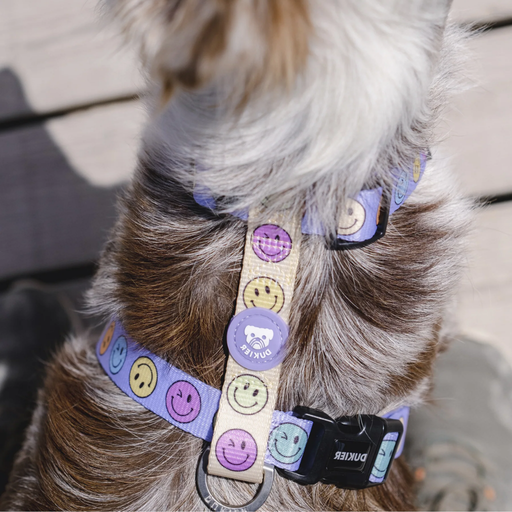 DUKIER Arnés Clásico Smiley para perros