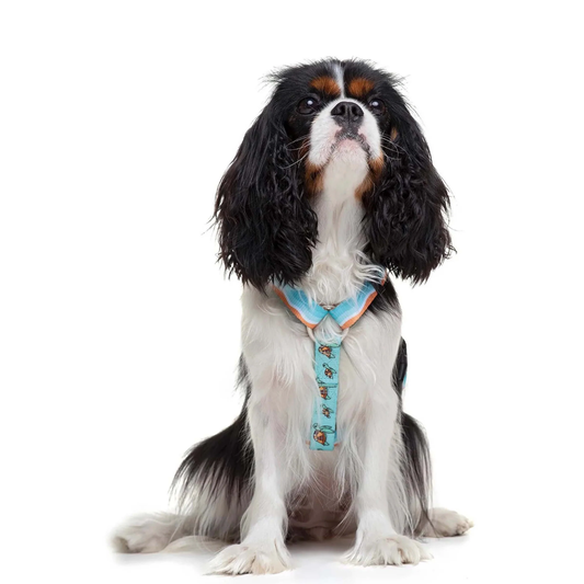 DUKIER Arnés Clásico Turtle para perros