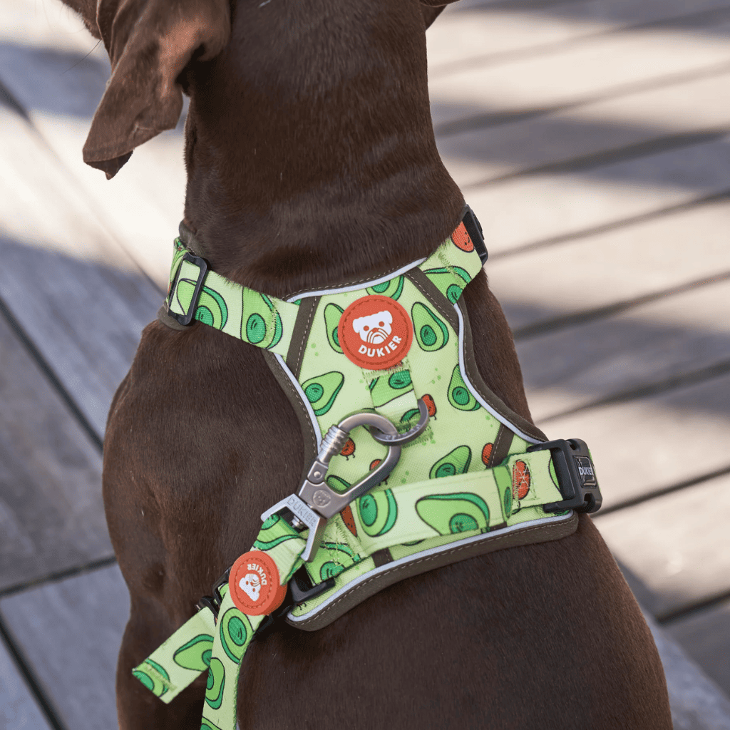 DUKIER Arnés Trail Avocado para perros