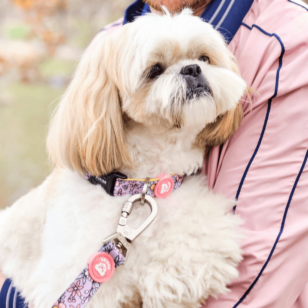 DUKIER Collar Flower Power M para perros