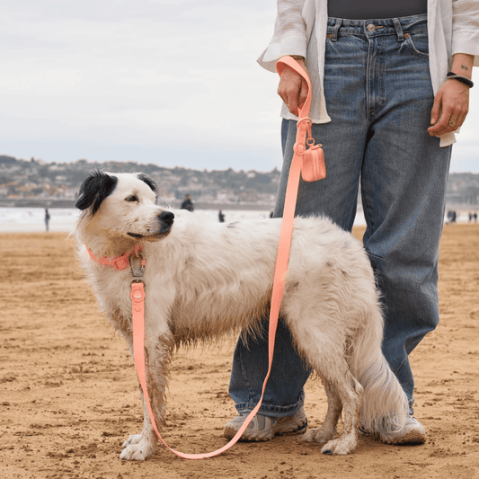 DUKIER Correa Waterproof Coral para perros