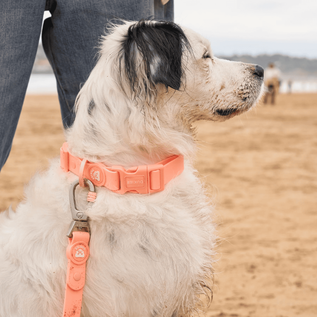 DUKIER Correa Waterproof Coral para perros