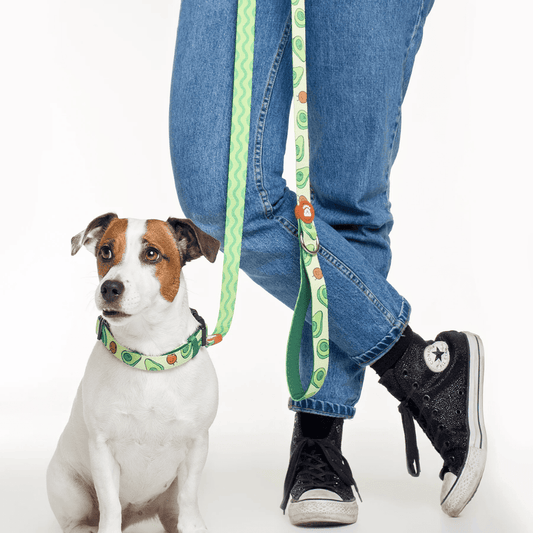 DUKIER Correa Avocado para perros