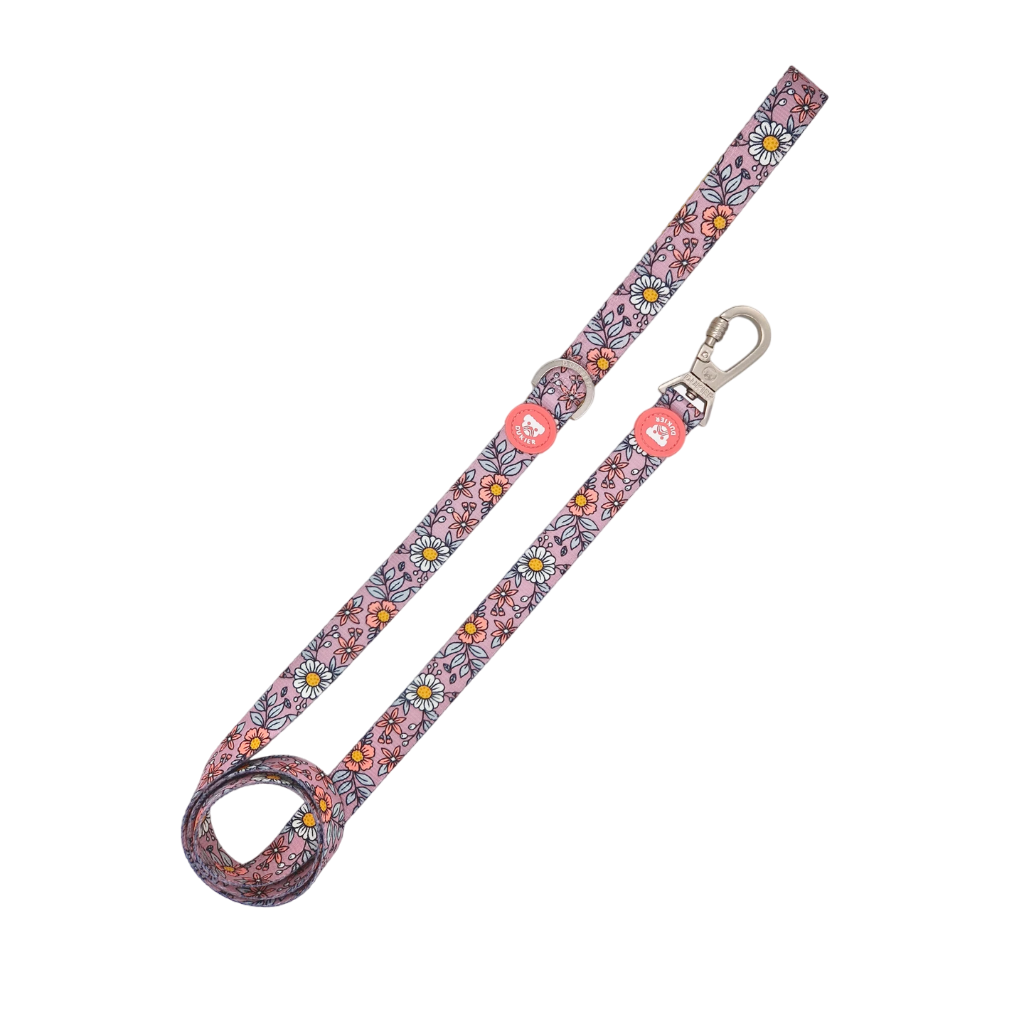 DUKIER Correa Flower Power