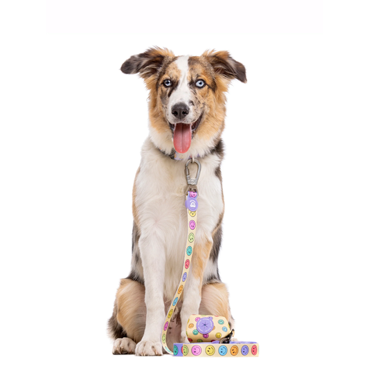 DUKIER Correa Smiley para perros