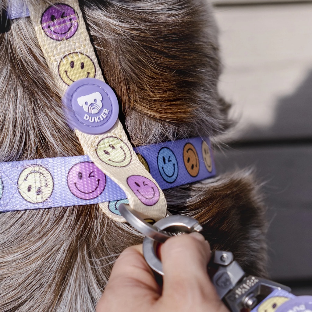 DUKIER Correa Smiley para perros