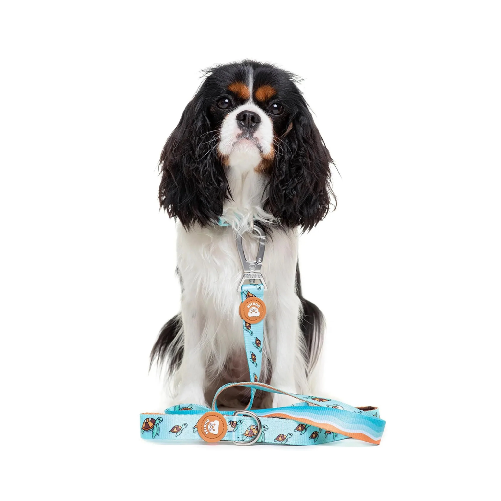 DUKIER Correa Turtle para perros