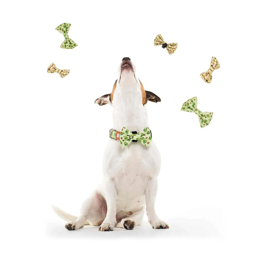 DUKIER Pajarita Avocado para perros