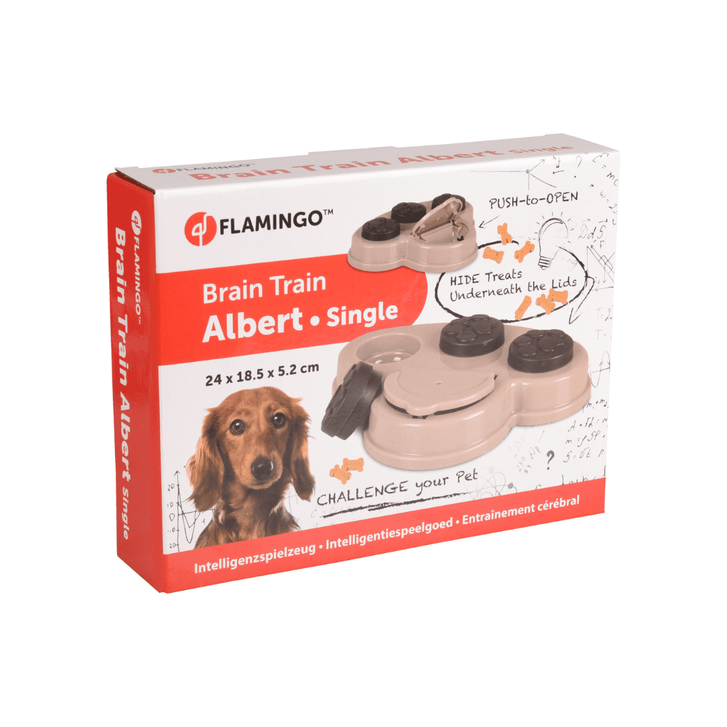 FLAMINGO Albert (nivel intermedio)