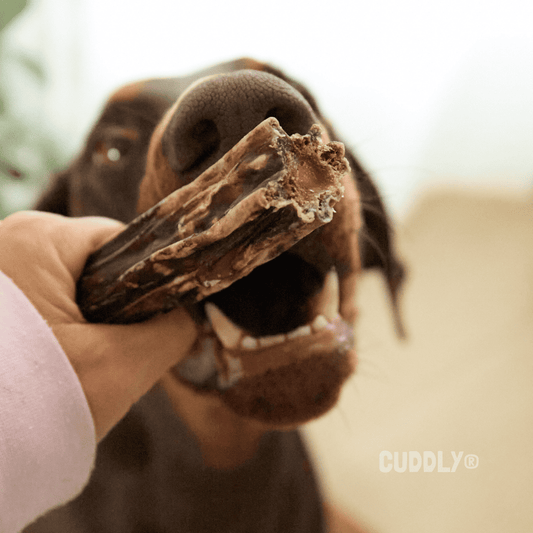 FLAMINGO Colas de Búfalo 100 g para perros