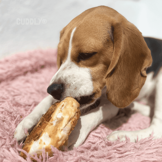 FLAMINGO Dognut Piel Pollo 110 g para perros