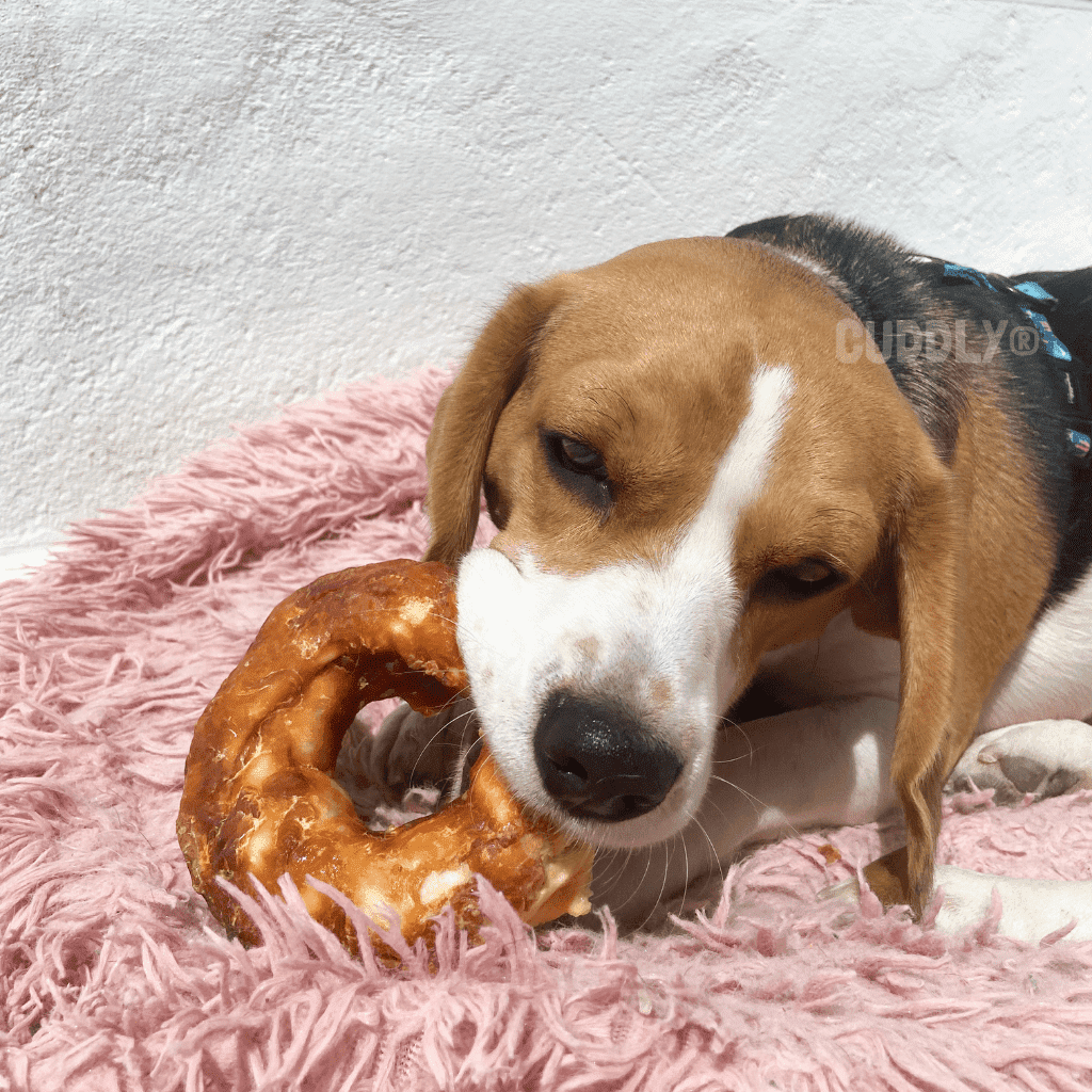FLAMINGO Dognut Piel Pollo 110 g