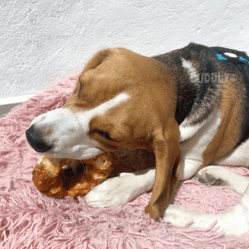 FLAMINGO Dognut Piel Pollo 110 g