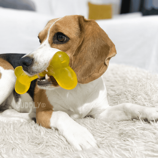 FLAMINGO Hueso TPR para perros