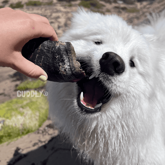 FLAMINGO Pezuña de Ternera granel para perros