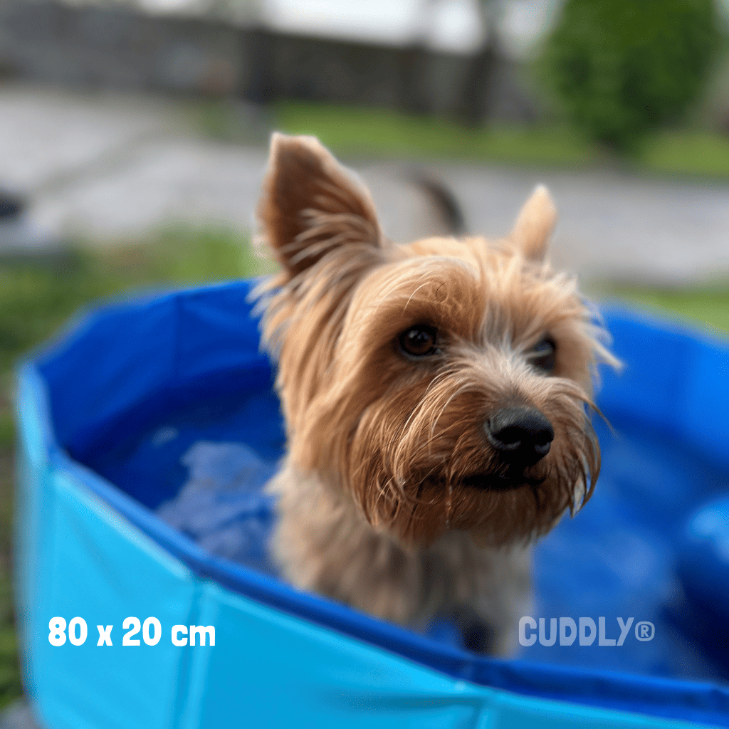 FLAMINGO Piscina para perros