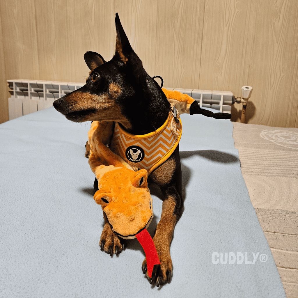 GLORIA Serpiente Dogmonster