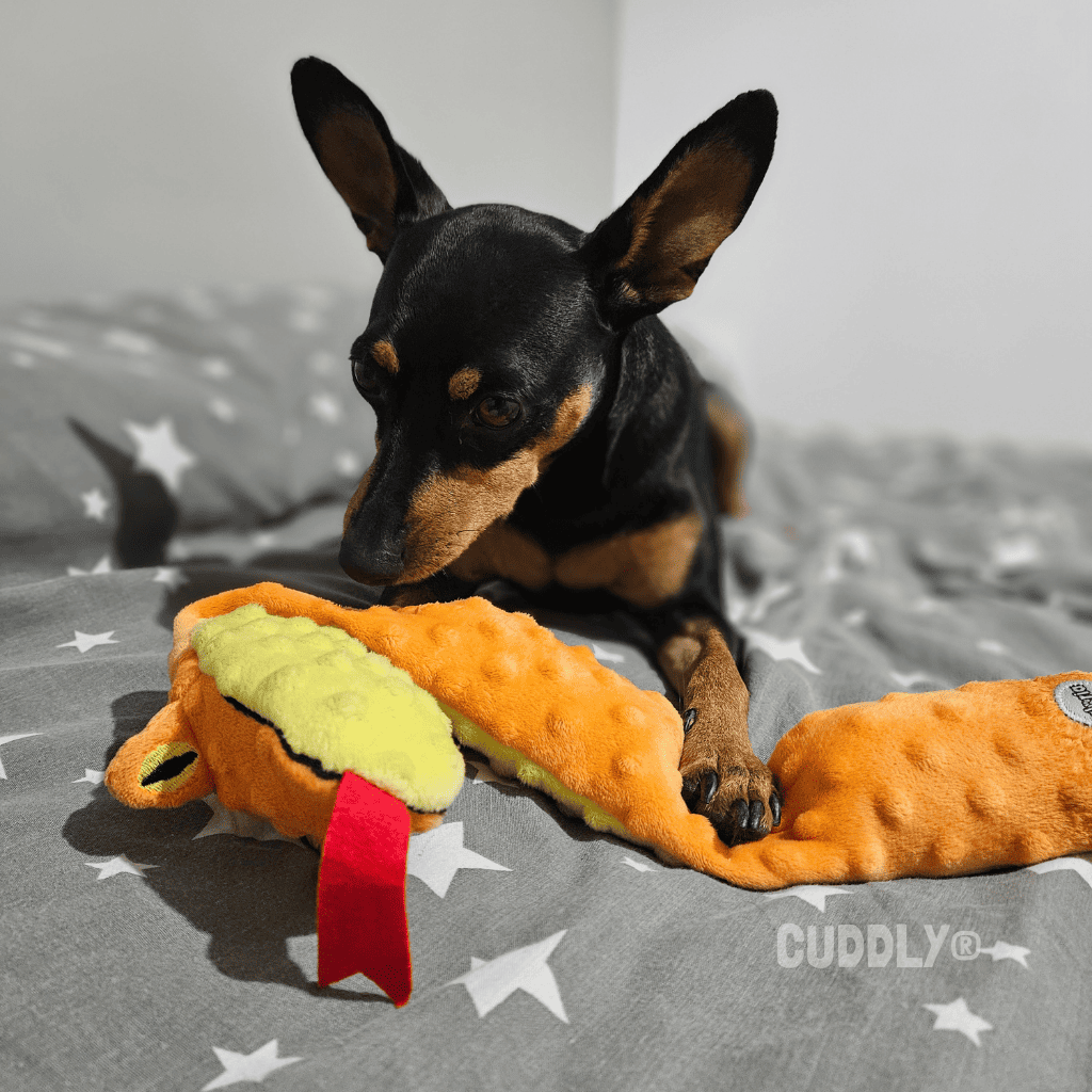 GLORIA Serpiente Dogmonster