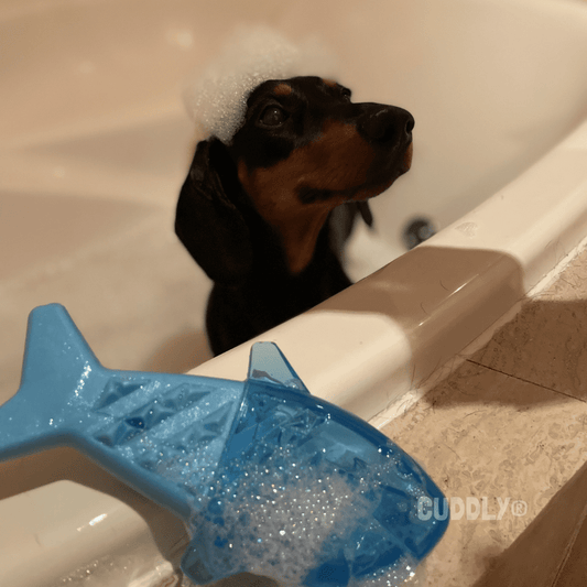 FLAMINGO Tiburón TPR Refrescante para perros